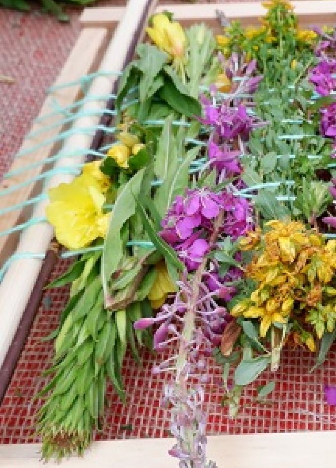 Культурные вечорки