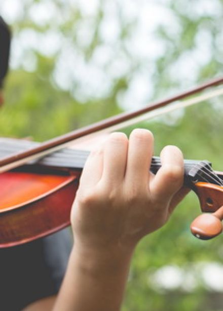 О чем поют деревья. Интеллектуальная игра