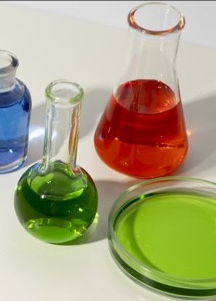 Культурная лаборатория. Игра-эксперимент